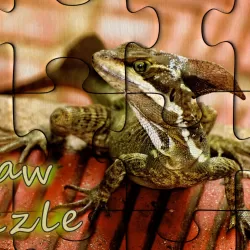 Pzls - free classic jigsaw puzzles for adults