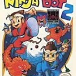Ninja Boy II